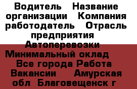 Водитель › Название организации ­ Компания-работодатель › Отрасль предприятия ­ Автоперевозки › Минимальный оклад ­ 1 - Все города Работа » Вакансии   . Амурская обл.,Благовещенск г.